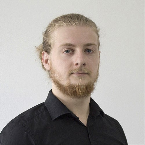Branimir Habek